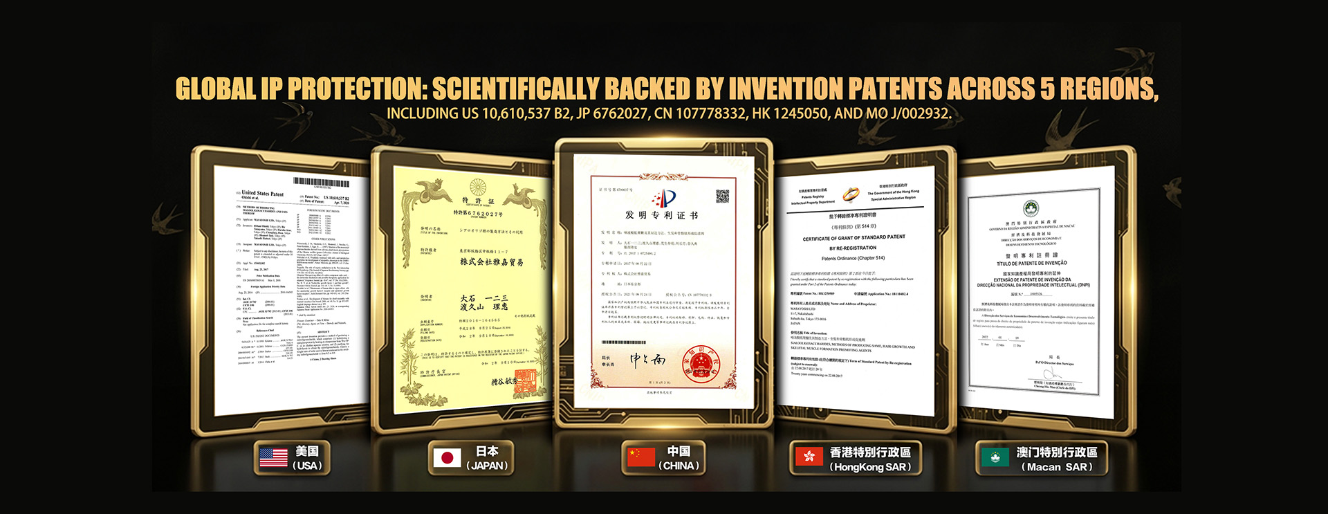5国专利矩阵 · 美日中港澳